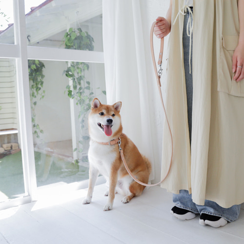 カフェリード 美しい色味の本革 リード ヌメ革 自然 犬 レザー