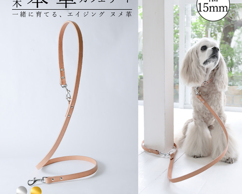 2a9df20c0954073738efda25bcb4ae