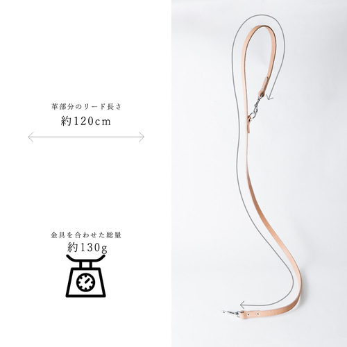 カフェリード 美しい色味の本革 リード ヌメ革 自然 犬 レザー