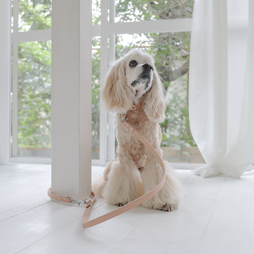 カフェリード 美しい色味の本革 リード ヌメ革 自然 犬 レザー