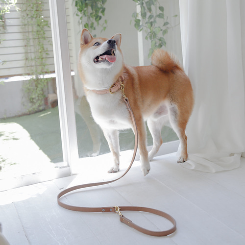 カフェリード 美しい色味の本革 リード ヌメ革 自然 犬 レザー 小型犬