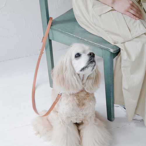 カフェリード 美しい色味の本革 リード ヌメ革 自然 犬 レザー 小型犬