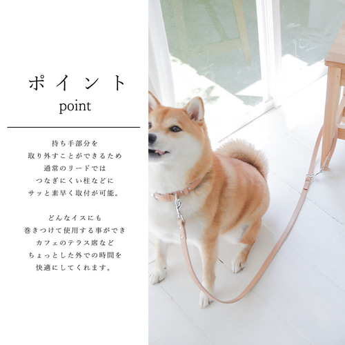 カフェリード 美しい色味の本革 リード ヌメ革 自然 犬 レザー