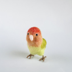 ハロウィン おばけの詰め合わせ キーホルダー 羊毛フェルト ひつじの