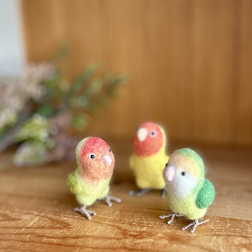 羊毛フェルト コザクラインコ シーグリーン 羊毛フェルト ひつじのはら