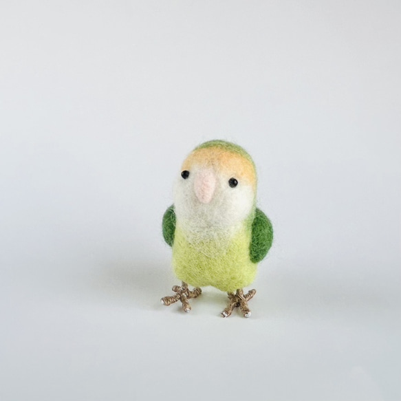 羊毛フェルト コザクラインコ シーグリーン 羊毛フェルト ひつじのはら