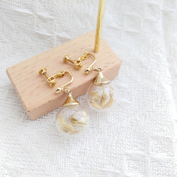 かすみ草ピアス/イヤリング/プリザーブドフラワー ピアス（スタッド
