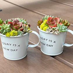 リメ缶・リメイク缶☆ジーンズバック缶 2個セット☆リメイク