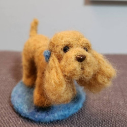 アメリカンコッカースパニエル 羊毛フェルト shinakana 通販 19001132