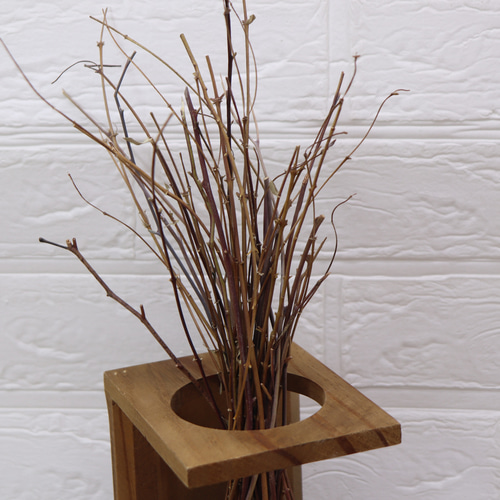 ユーカリ&ローリエの細枝/木 50本 ドライ その他素材 lemon-time 通販