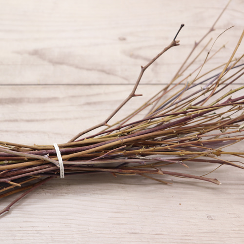 ユーカリ&ローリエの細枝/木 50本 ドライ その他素材 lemon-time 通販
