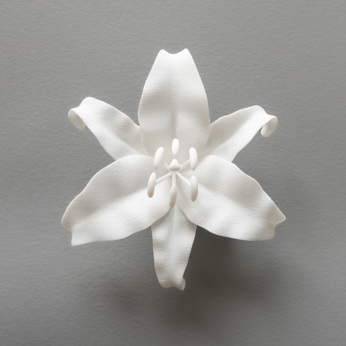 カサブランカ 白