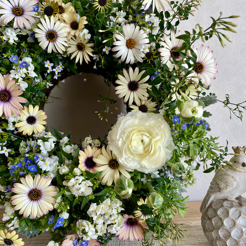 オステオとネメシアの寄せ植えリース ☆*:.｡. 幸せのwreath 「 believe