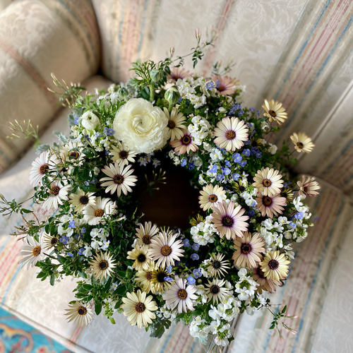 オステオとネメシアの寄せ植えリース ☆*:.｡. 幸せのwreath 「 believe