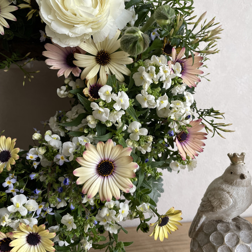 オステオとネメシアの寄せ植えリース ☆*:.｡. 幸せのwreath 「 believe