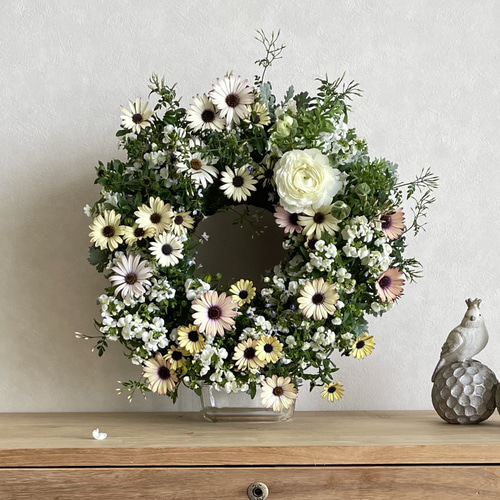 オステオとネメシアの寄せ植えリース ☆*:.｡. 幸せのwreath 「 believe