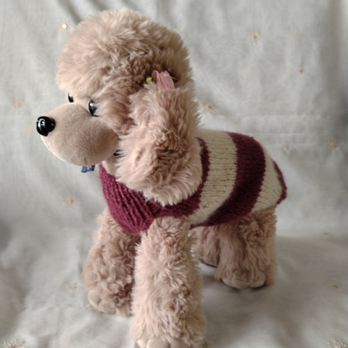 犬服 SSサイズ ボーダーニット 250305 ペット服・アクセサリー