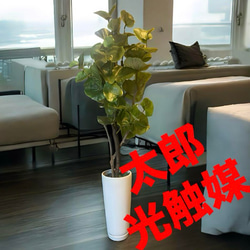 光触媒 人工観葉植物 ウォールグリーン フェイクグリーン スリムシー