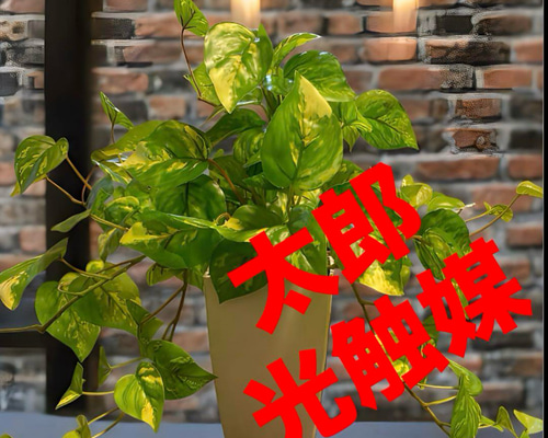 光触媒 人工観葉植物 ウォールグリーン フェイクグリーン マーブル