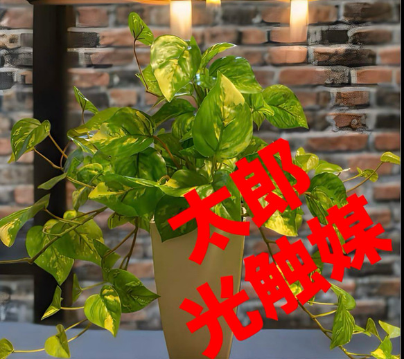 光触媒　人工観葉植物　ウォールグリーン　フェイクグリーン　マーブルポトスヘゴ 光触媒 人工観葉植物 ウォールグリーン フェイクグリーン マーブル