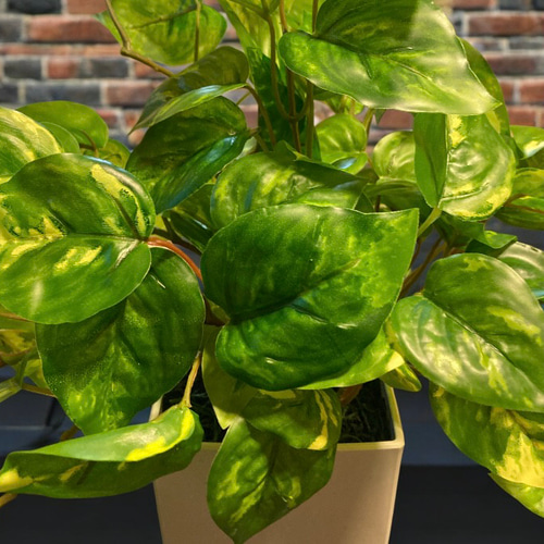 光触媒 人工観葉植物 ウォールグリーン フェイクグリーン マーブル