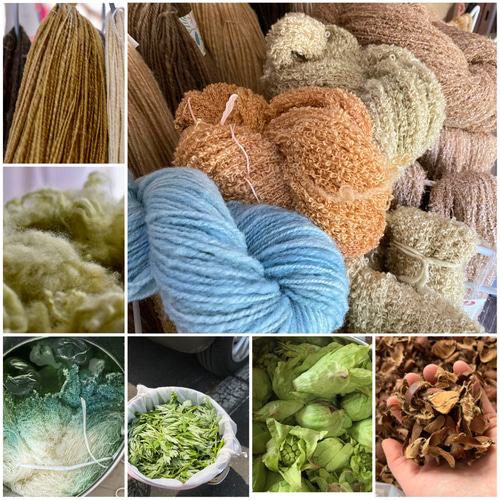 Botanica by tenna + 草木染 ソックヤーン レギア よもぎ 里山染