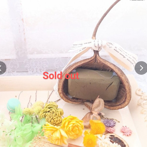 ブッダナッツアレンジキット プリザーブドフラワー ちか 通販 19008706