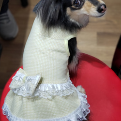 犬服♪(中型犬)ワンちゃんの顔の編み込みセーター エル・ウエーブ