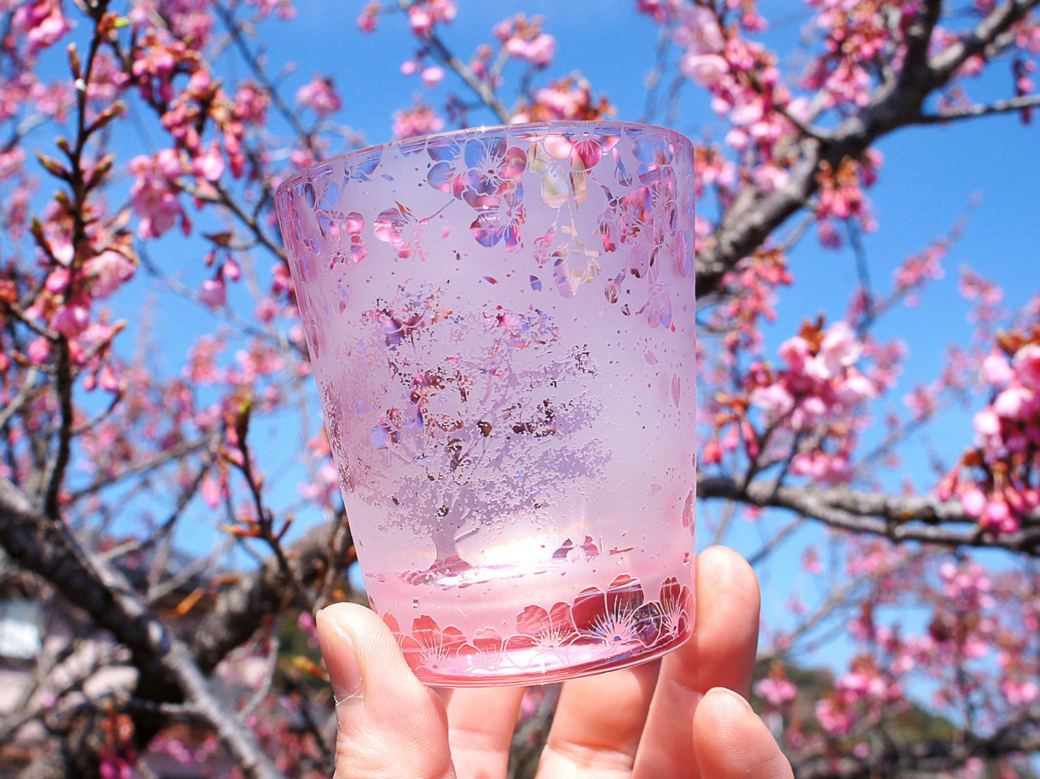 一本桜の猫物語シャボン