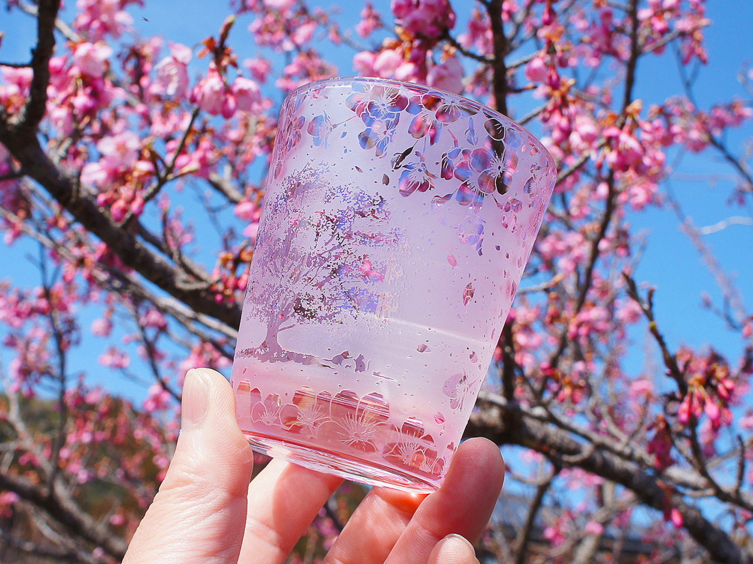 一本桜の猫物語シャボン