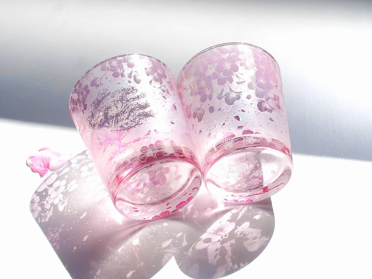 一本桜の猫物語シャボン