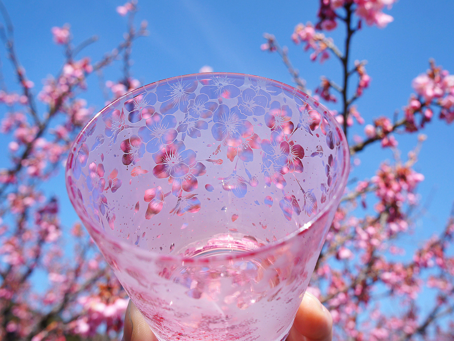 一本桜の猫物語シャボン