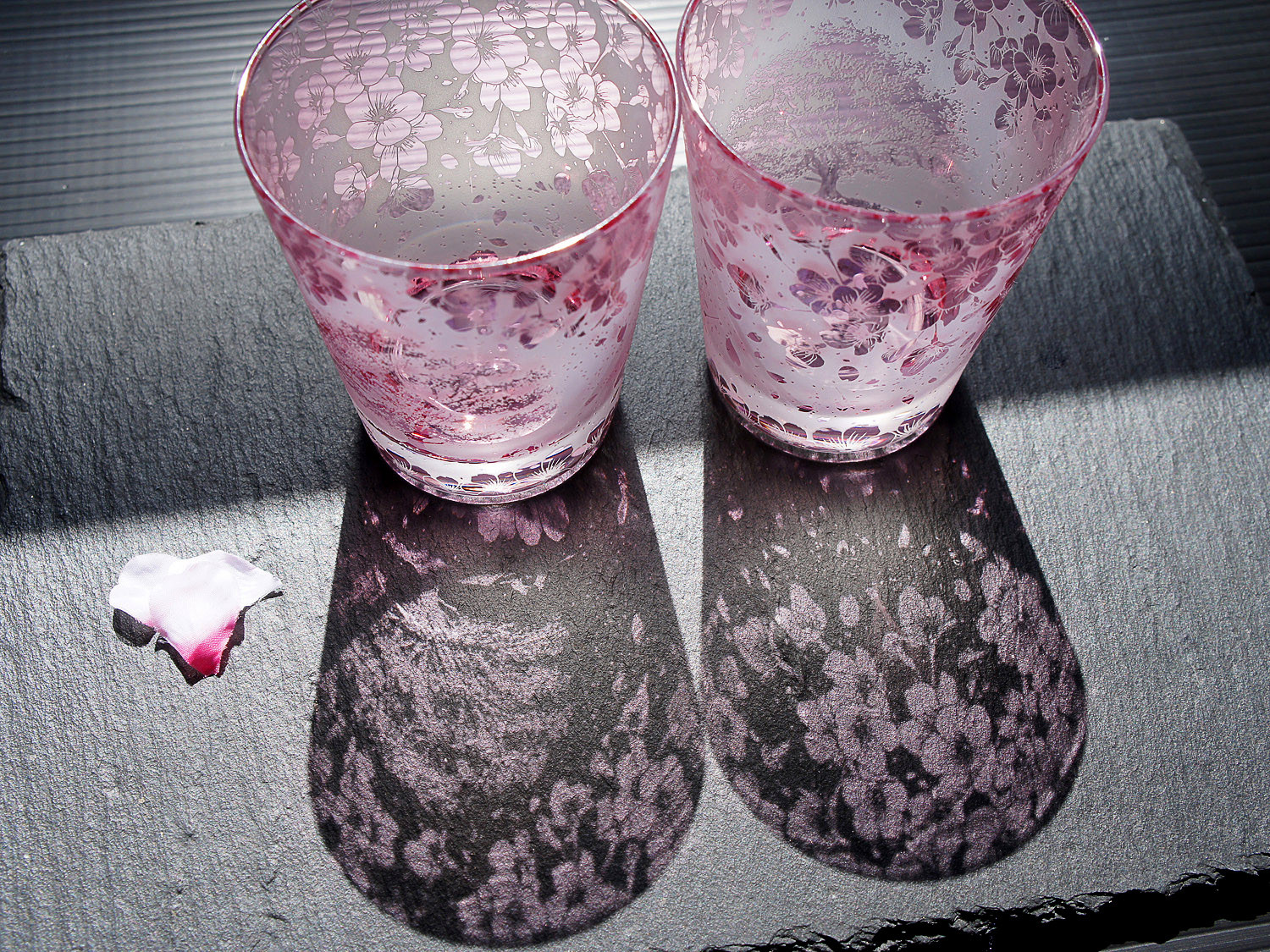 一本桜の猫物語シャボン