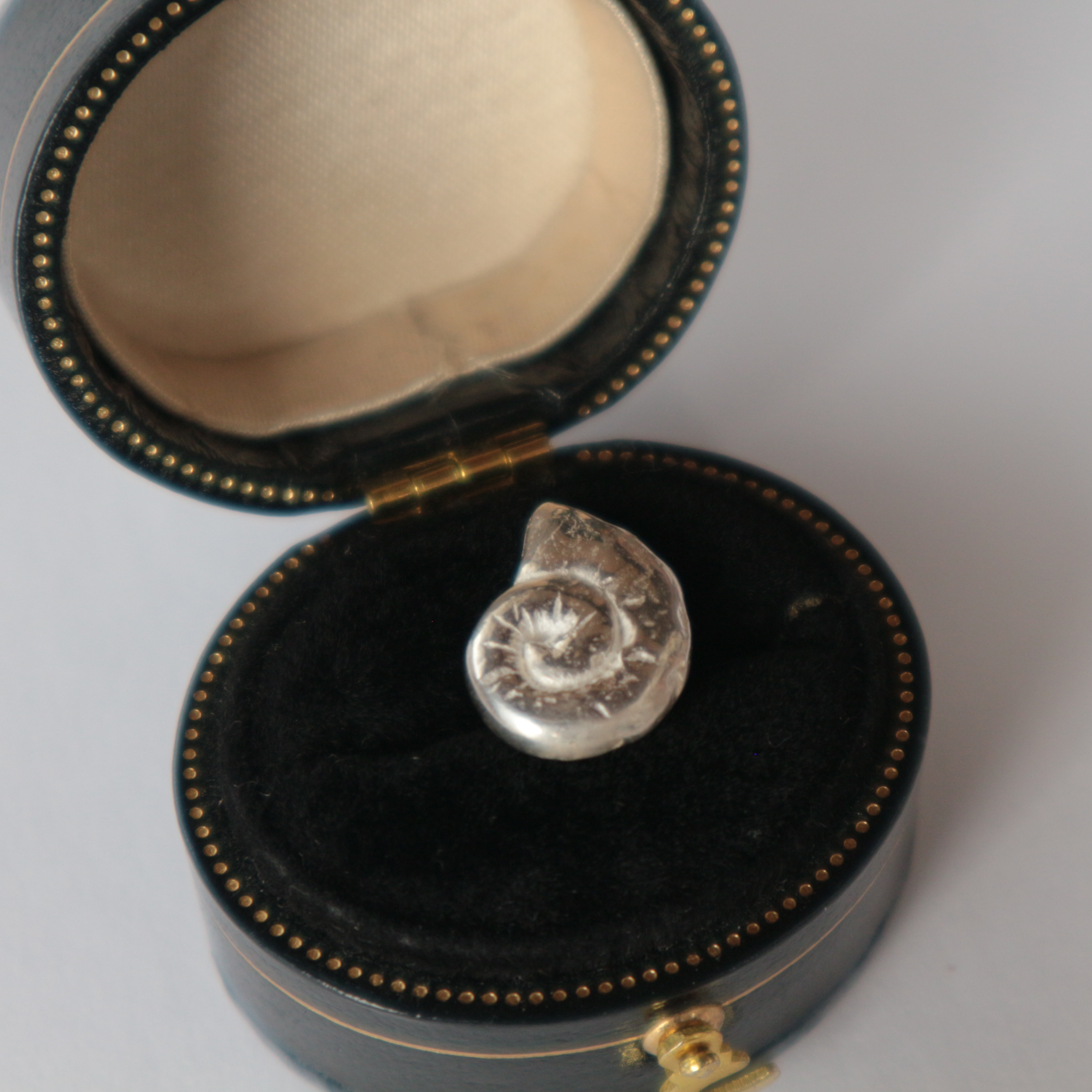 【Silver925】【片耳】アンモナイトのピアス