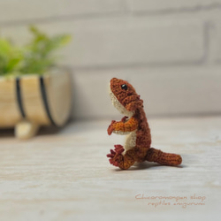あみぐるみトカゲ 爬虫類雑貨 あみぐるみ Chicoromonpan shop