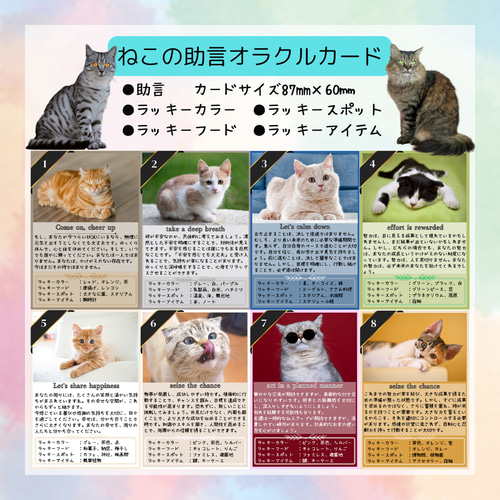 50＞ネコの助言オラクルカード8枚 その他素材 CraftMe 通販 19011827
