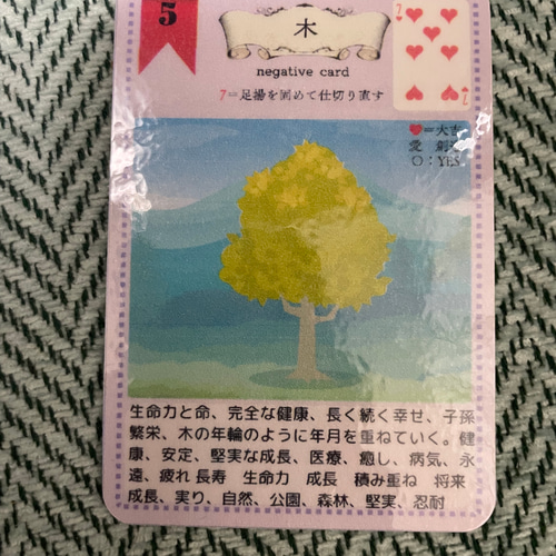 【正規品ルノルマンカード】メルヘンで可愛いパステル色✨53枚✨生命の色合いデッキ Amazon.co.jp: スパークリー ルノルマン Sparkly Lenormand