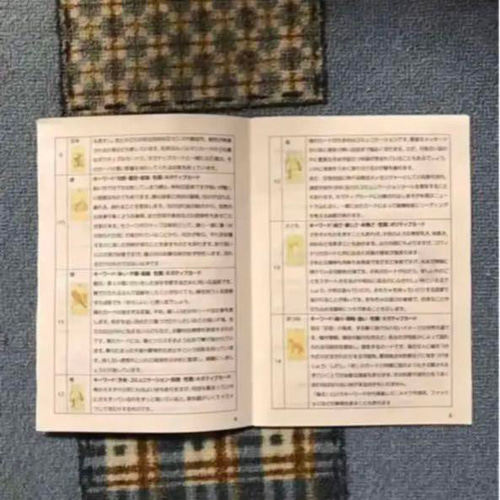 47＞意味が書いてあるルノルマンカード【パープル】＋解説書 その他