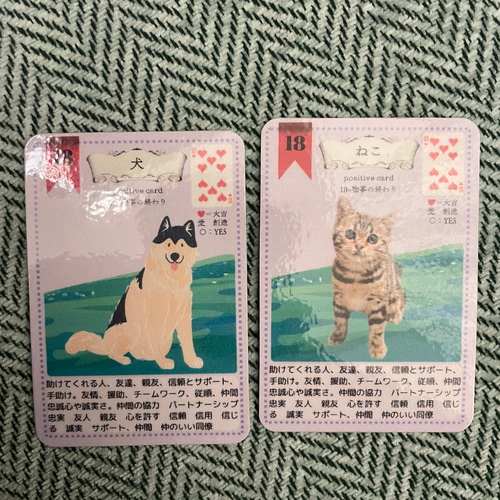 猫好きさん必見✨可愛すぎるオールねこちゃんのデッキ✨キャットルノルマンカード Amazon.co.jp: 猫好きさん必見可愛すぎるオールねこちゃんの