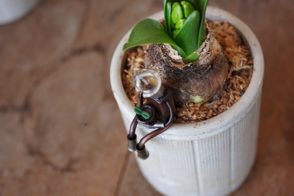 　腰掛けランプマン　「慈しむ」 5枚目の画像