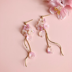桜　色付く　ピアス　イヤリング　サクラ　色が変わる　花　ピンク　フラワー　揺れる花びら　大ぶりピアス　ロングピアス 2枚目の画像
