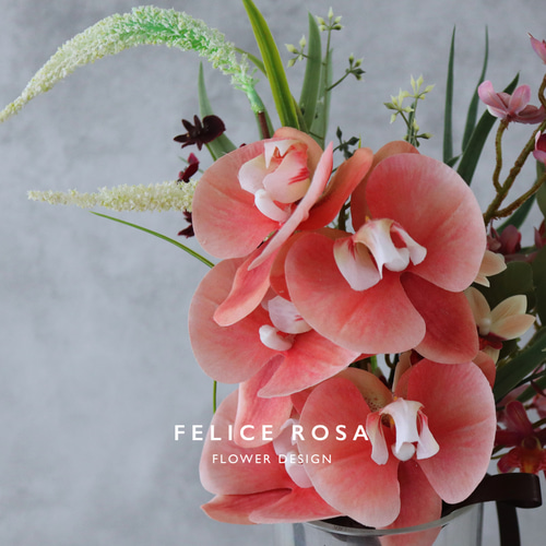 韓国ウェディングにぴったり 可愛らしさと上品さを兼ね備えた胡蝶蘭