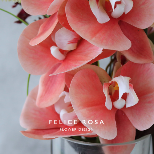 韓国ウェディングにぴったり 可愛らしさと上品さを兼ね備えた胡蝶蘭