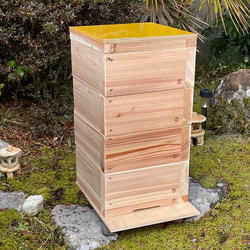 日本みつばち用 飼育箱 重箱式巣箱 待ち箱 3段 セット ハウス・小屋