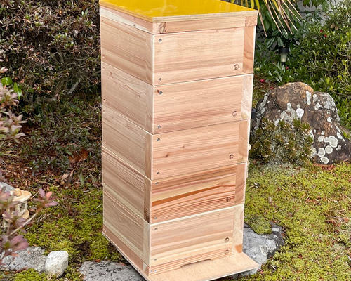 ミツバチ巣箱 日本 みつばち 蜜蜂 ミツバチ 養蜂 飼育箱 重箱式 巣箱 組立済 完成品