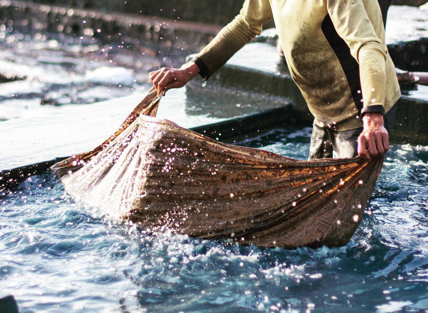 アジュラクプリント　シルクストール　ブロックプリント　インド　カッチ