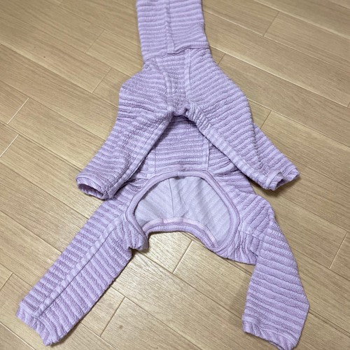 ハンドメイド犬服 イタグレちゃん、ウィペットちゃんの