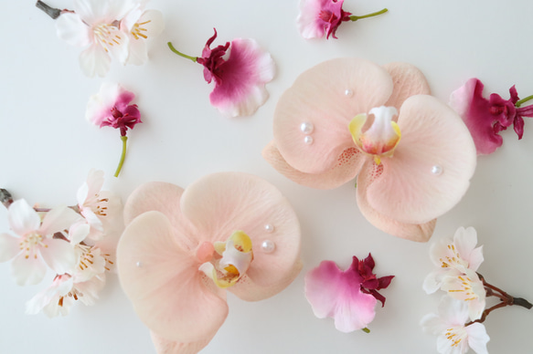 パール付き胡蝶蘭と桜のヘアパーツセット　Pink サクラ　コチョウラン　前撮り　和装ヘア 6枚目の画像