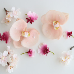 パール付き胡蝶蘭と桜のヘアパーツセット　Pink サクラ　コチョウラン　前撮り　和装ヘア 3枚目の画像