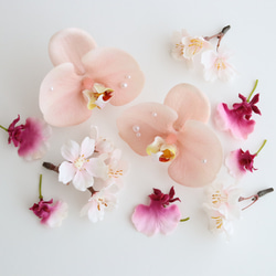 パール付き胡蝶蘭と桜のヘアパーツセット　Pink サクラ　コチョウラン　前撮り　和装ヘア 1枚目の画像